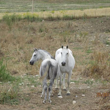 Agriturismo Reggia Saracena أغريجنتو المظهر الخارجي الصورة